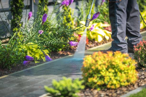 Reliable Shady Hollow, TX Pressure Washing Solutions