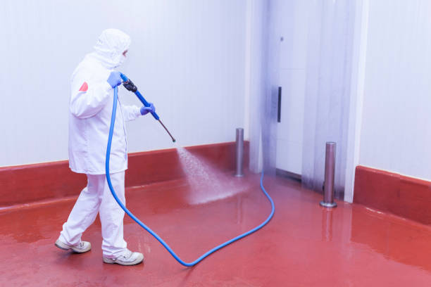 Best Graffiti Removal  in Shady Hollow, TX